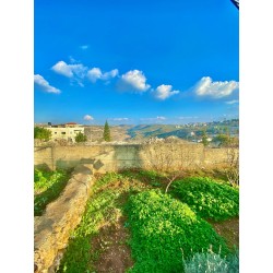 Food garden