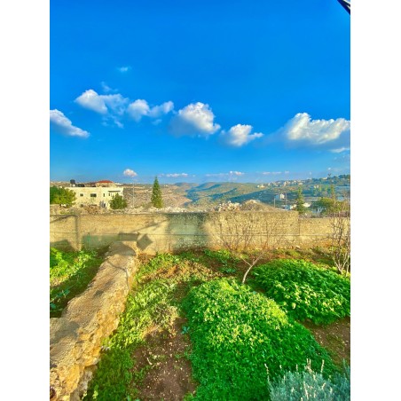 Food garden